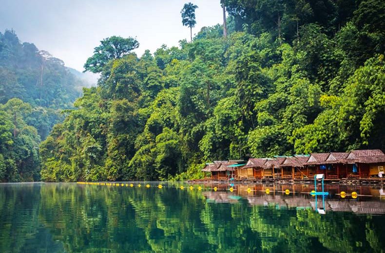 Sustainable Travel: Eco-Friendly Destinations and Responsible Tourism